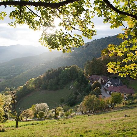 Logis Auberge Du Mehrbachel - Hotel & Restaurant Сент-Амарен Экстерьер фото