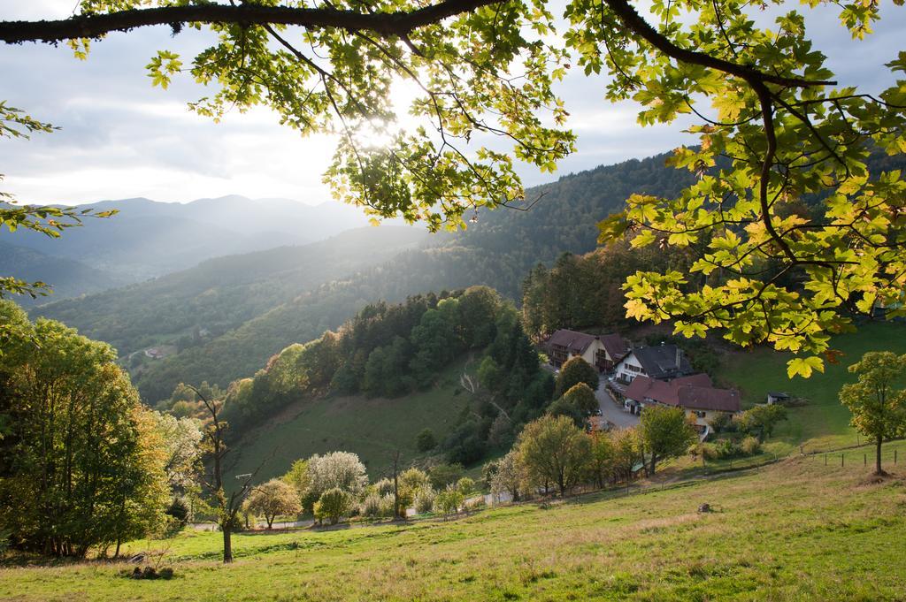 Logis Auberge Du Mehrbachel - Hotel & Restaurant Сент-Амарен Экстерьер фото