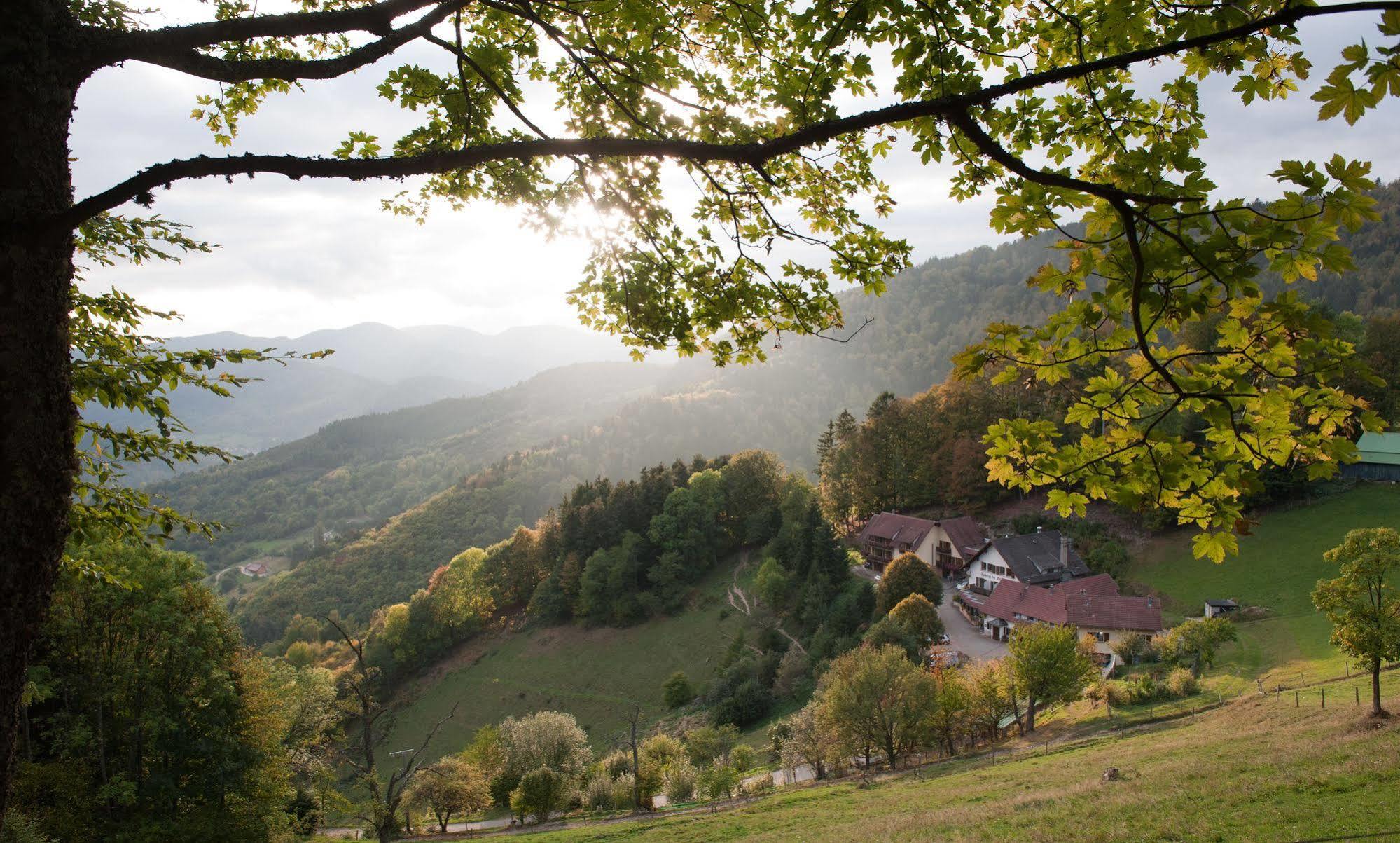 Logis Auberge Du Mehrbachel - Hotel & Restaurant Сент-Амарен Экстерьер фото